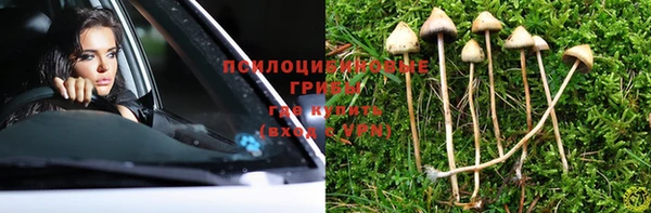 трава Абинск