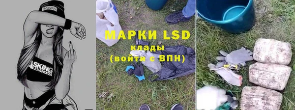 a pvp Алексин